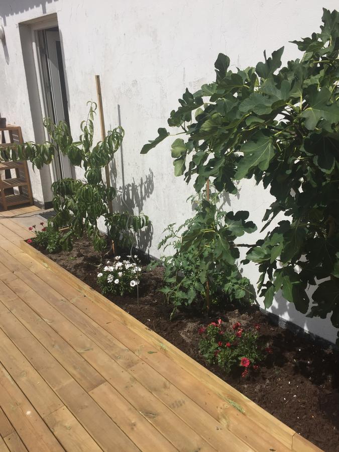Bed and Breakfast Molino Bonnerup Strand Экстерьер фото