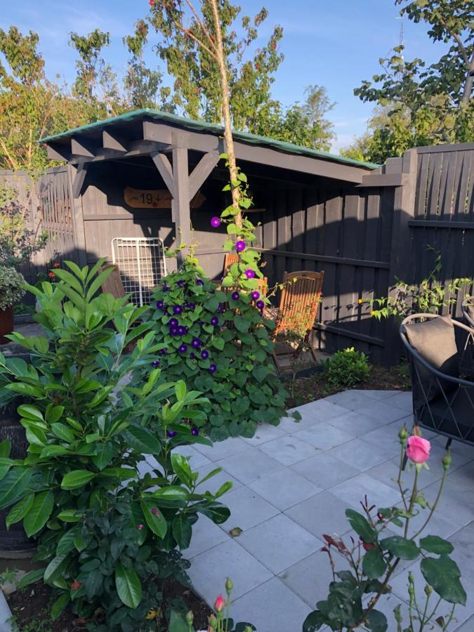 Bed and Breakfast Molino Bonnerup Strand Экстерьер фото